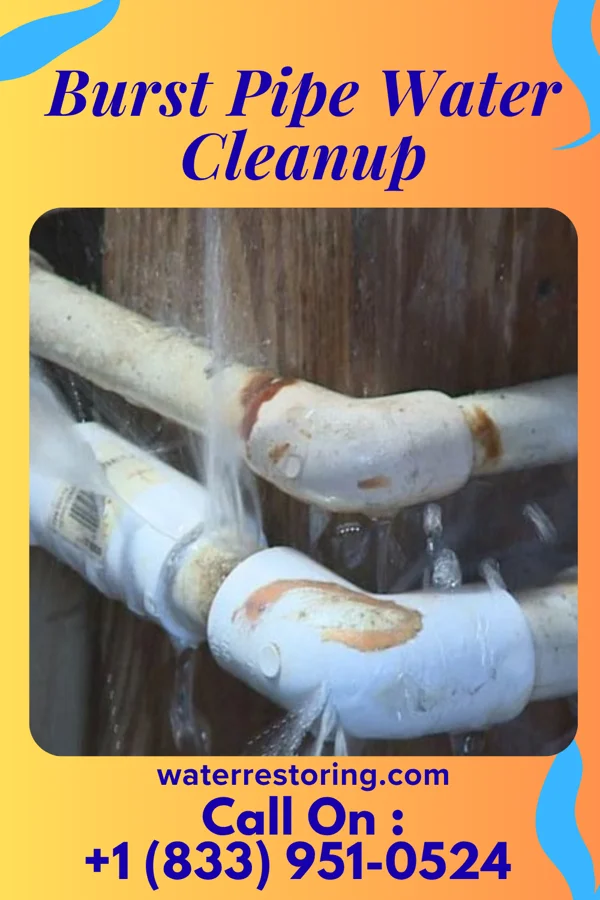 Burst Pipe Water Cleanup in Liscomb, IA